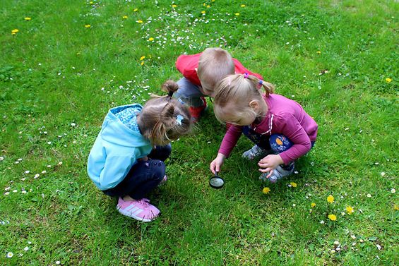 Drei Kinder erforschen mit Lupe eine Blumenwiese