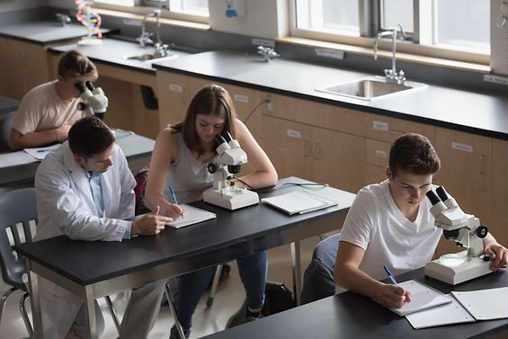 Schüler schauen im Unterricht durch ein Mikroskop.