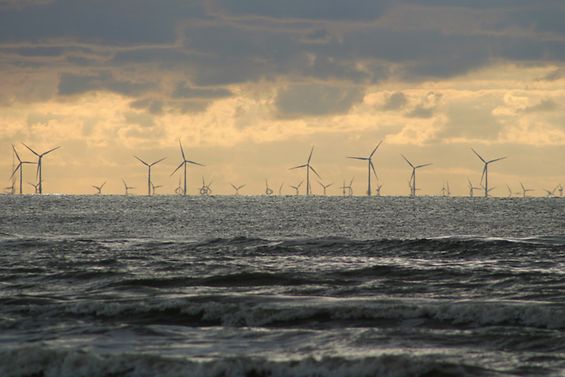 Windpark am Horizont auf dem Meer
