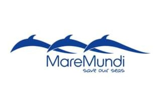 Schriftzug von MareMundi mit drei springenden Delfinen