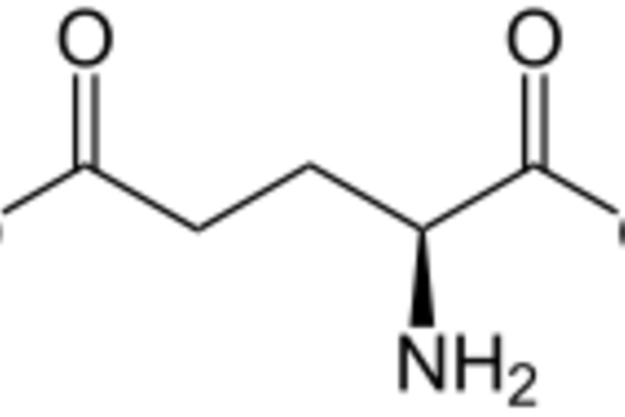 Strukturformel L-Glutaminsäure