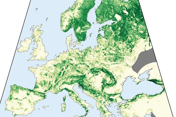 Waldbedeckung Europa gegenwärtig T