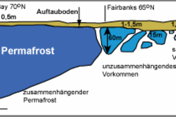 Permafrost Profil T