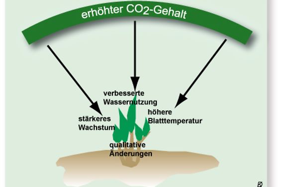 CO2-Einfluss T