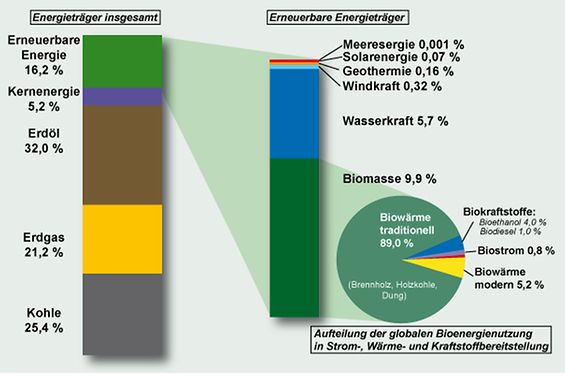 Energieträger Bioenergie T