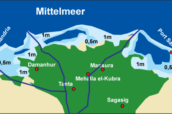 Nildelta T
