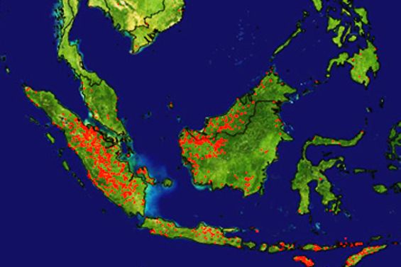 Indonesien T