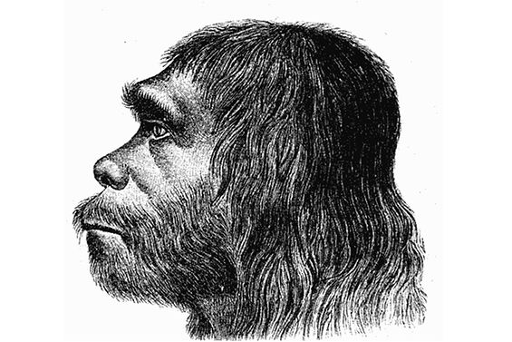 Profilzeichnung eines Neandertaler