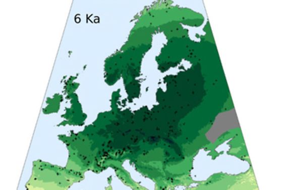 Waldbedeckung Europa 6000 vh