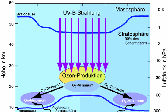 Ozon Stratosphäre Verteilung