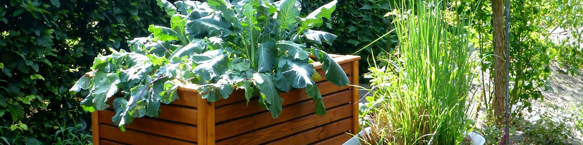 Hochbeet und Pflanzen in Schiebkarre gepflanzt