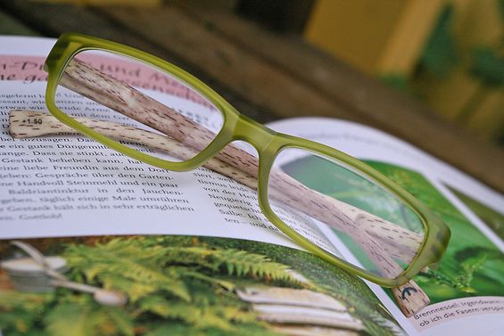 Gartenbuch mit Brille
