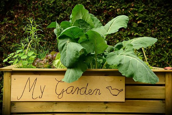 Hochbeet mit Schild: My garden